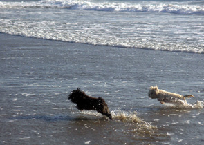 beach